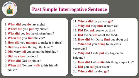 Past Simple Of The Verb To Be Interrogative Esl Worksheet By Xani Hot Sex Picture