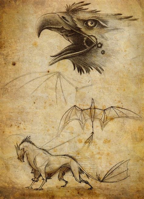224 Best Gryphons Images On Pinterest Fantasy Creatures