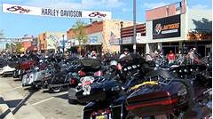 Rev Up Your Engine Incredible Craigslist Motorcycle Finds In Tampa