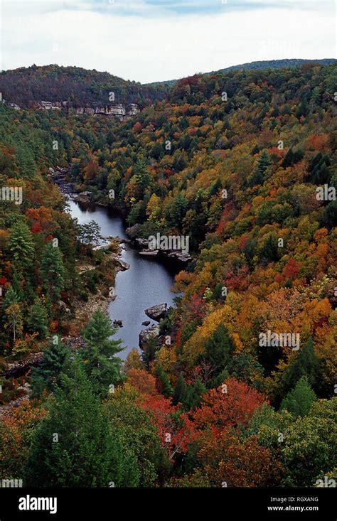 Fall Foliageobed Wild And Scenic Rivertennessee Stock Photo Alamy