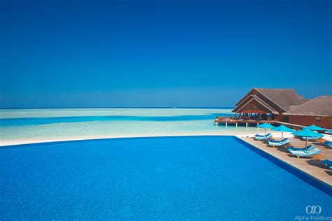 Eid Offers In The Maldives Alpha Maldives Blog