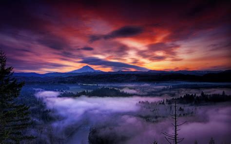 Nature Landscape Sunset Mist Mountain Forest Clouds