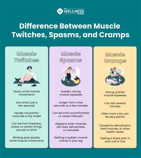 Why Are Your Muscles Twitching After A Workout The Wellness Corner