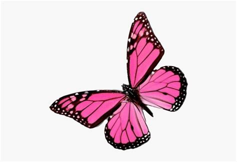 Maybe you would like to learn more about one of these? Flying Pink Butterfly Png Image Background - Pink ...