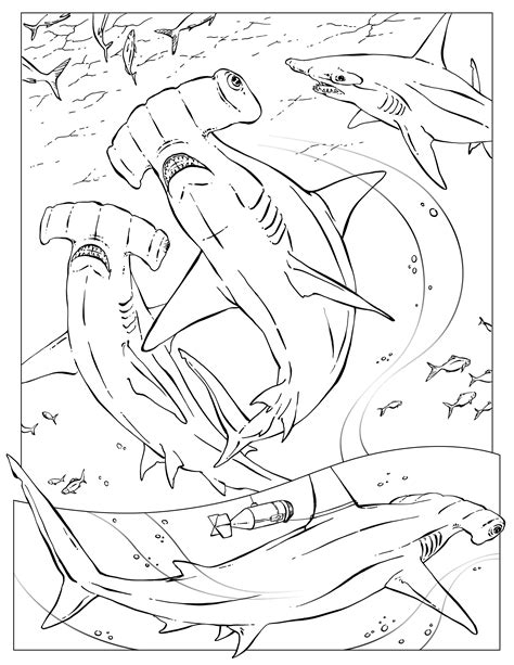 In total we have 16 coloring pages in tools. Coloring Pages - Wildlife Research & Conservation