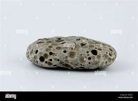 Macro Image Of A Small Grey Beach Stone With Many Holes Stock Photo