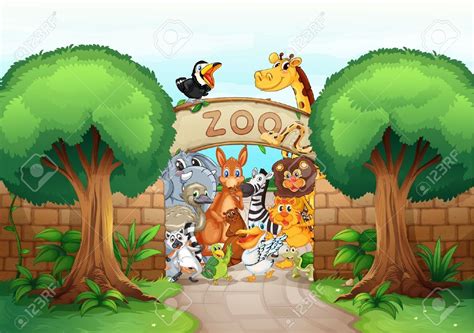 The animals are listed in alphabetical order. Stock Vector | Nature posters, Zoo drawing, Illustration