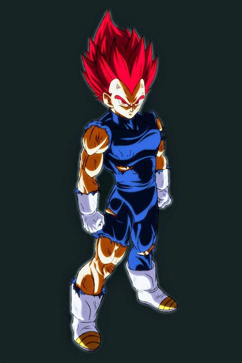 Vegeta Super Saiyan God Dragon Ball Super Super Sayajin Dragon Ball