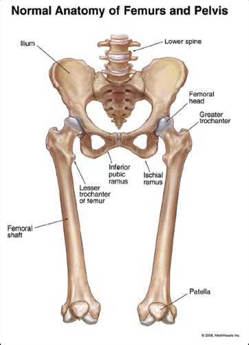 Agreements & disagreements workshop 36. Athletic Training: Thigh, Hip, Groin, and Pelvis Injuries