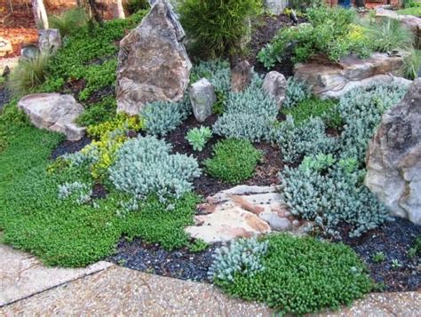 Groundcover Ideas For Sunny Areas Succulent Landscaping Front Yard