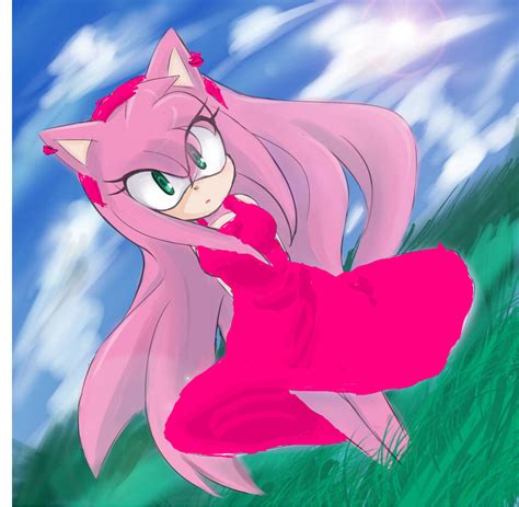 sonic s true love for amy rose by sonamylover555 on deviantart