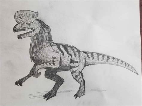 How To Draw A Dilophosaurus 5 Step By Step Instructions 2023
