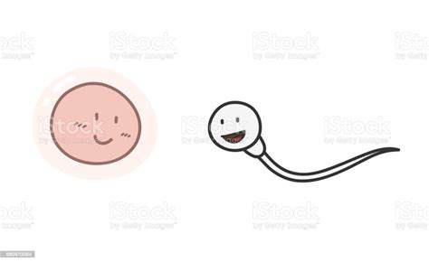 Sperm And Ovum Cartoon Stock Illustration Download Image Now Istock