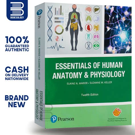 Essentials Of Human Anatomy And Physiology 12th Edition Elaine Marieb