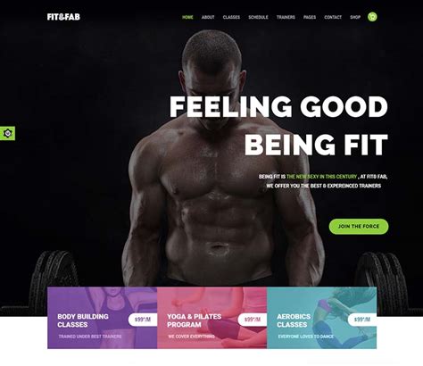 Fitfab Just Another Wordpress Site Siteturner