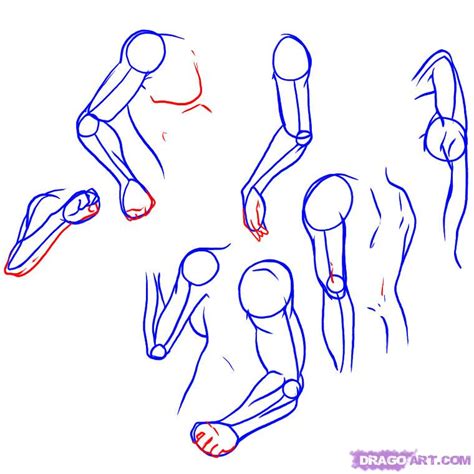 How To Draw Arms Step By Step Anatomy People Free