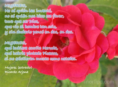 20 Poemas Y Bellas Imágenes Con Frases Y Mensajes Bonitos Para Dedicar Este Día De La Mujer