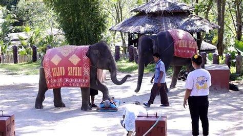 elephant thai massage youtube