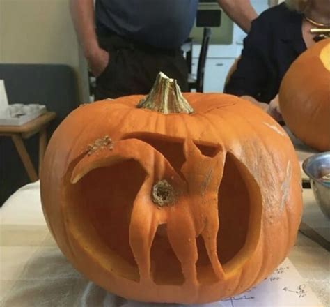 10 funny pumpkin carving designs decoomo