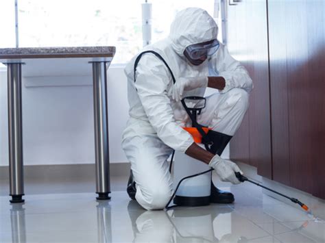 Maybe you would like to learn more about one of these? Commercial Pest Control Services | Oxford, Conyers & Snellville, GA | Ameritech Pest Solutions