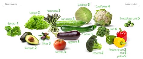 Top 10 Low Carb Vegetables Keto Recipes