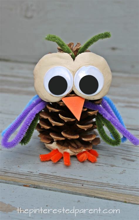 Pine Cone Owl Craft Instructions Barry Morrises Coloring Pages