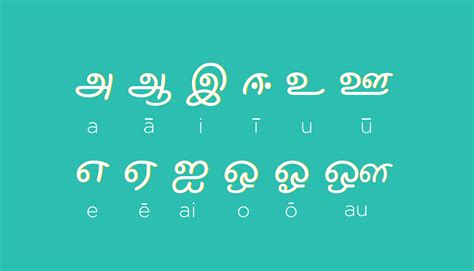 Tamil Alphabets Vowels Consonants Pronunciation Learn