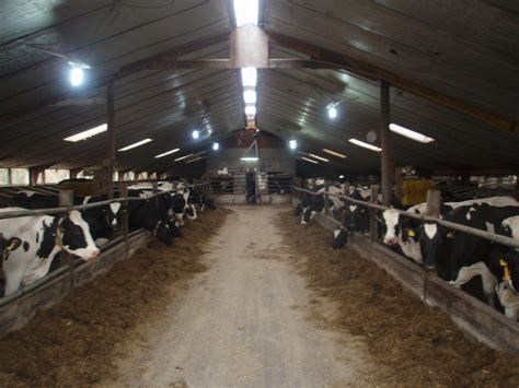 Wholesale high quality ufo lite 600 led grow lights, ufo lite 600 led grow lights for sale at unitfarm store with reasonable price. New sunshine led light farm application - NewSunshine