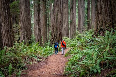 7 Best California State Parks To Go Camping Worldatlas