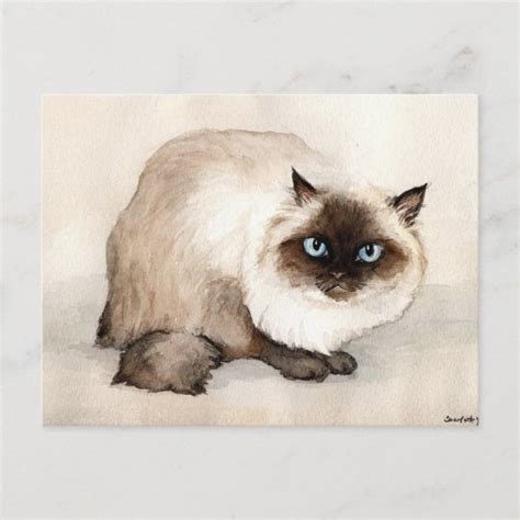 Himalayan Cat Original Art Postcard