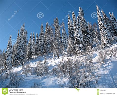 Wonderful Winter Landscape Stock Photo Image Of Beautiful Christmas