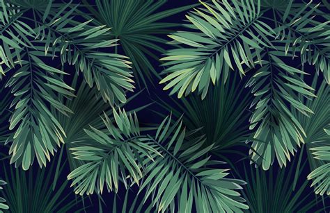 Tropical Plant Wallpapers Wallpaper Cave