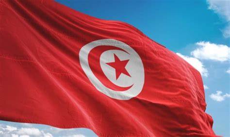 منظمة الصحة تدعو لمساعدة تونس وإلزامية التلقيح تكتسب زخما عالميا. تونس تحيي اليوم عيد الشغل