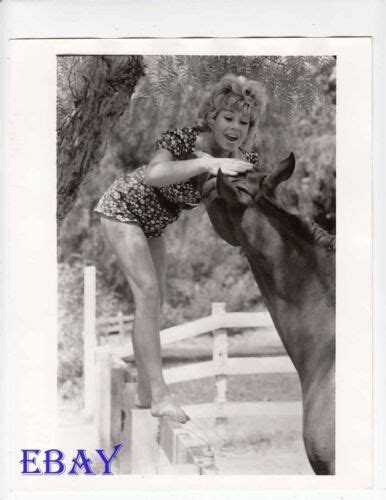 Sue Ann Langdon Leggy Barefoot Vintage Photo Ebay