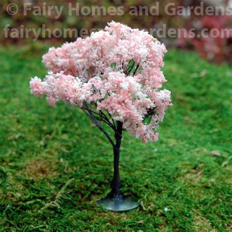 Cherry Blossom Tree Miniature