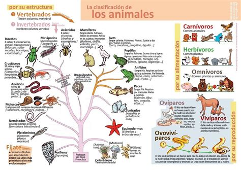 Organizacion Especifica De Los Seres Vivos Atra