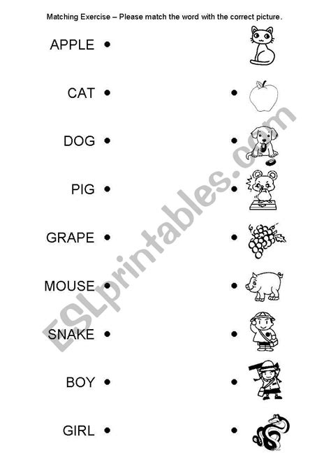 A Fun Esl Printable Matching Exercise Worksheets For