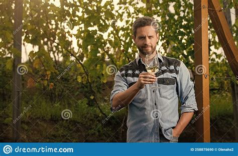 Positive Viticulturist Man Farmer Drink Wine At Grape Farm Copy Space