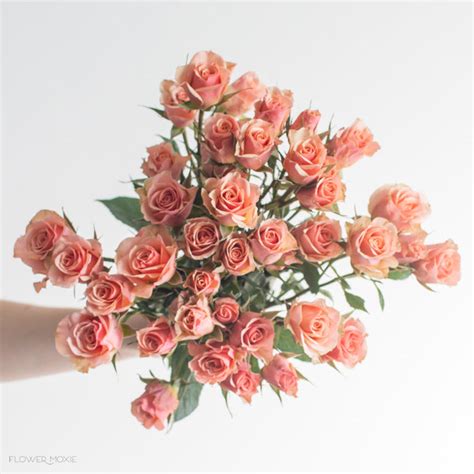 Peach Spray Rose Flower Diy Wedding Flowers Flower Moxie