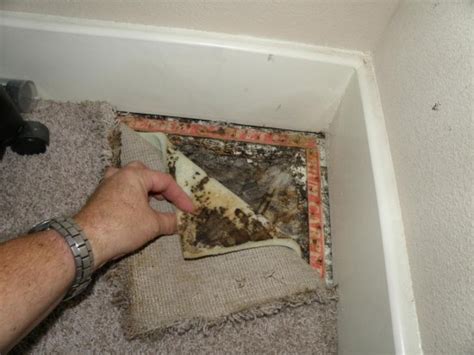 The packages include simple lab tests that look for mold. Mold Inspection | Mold Testing in Whittier, CA | Indoor ...