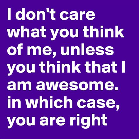 I Dont Care What You Think Of Me Unless You Think That I Am Awesome