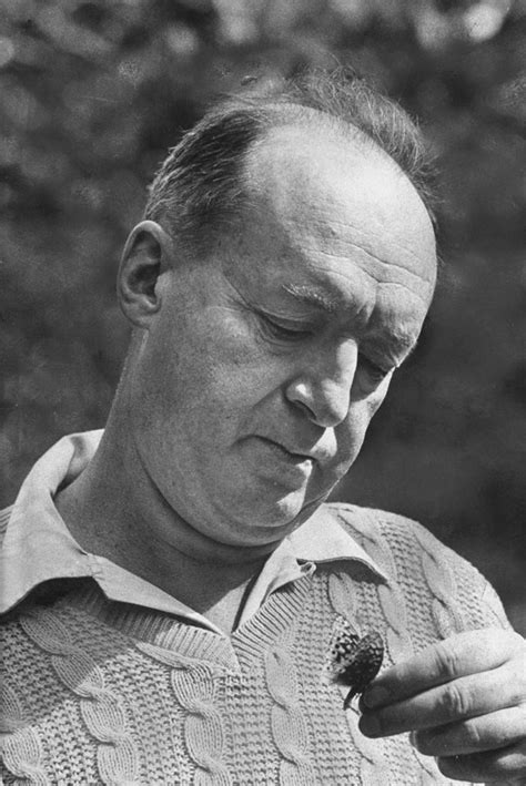 Vladimir Nabokov And His Butterflies Portrait Of A Lepidopterist