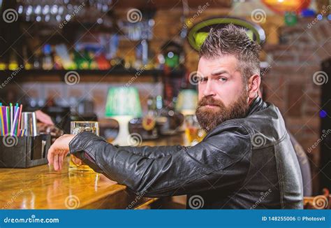 Brutal Hipster Bearded Man Sit At Bar Counter Drink Beer Order Alcohol