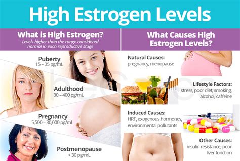 Estrogen In Women