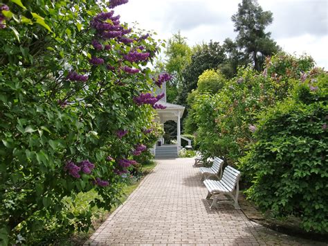 The Lilac Gardens In Woodland Wa
