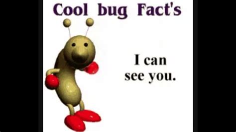 Cool Bug Facts Youtube