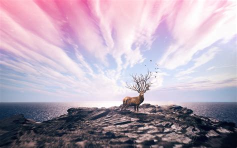 Download Wallpaper Digital Art With Deer 3840x2400