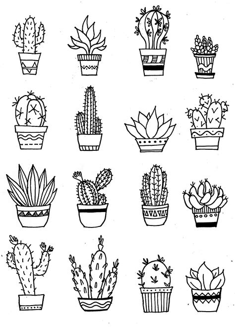 Cactus Illustration Doodle Cactus Illustration Cactus Drawing