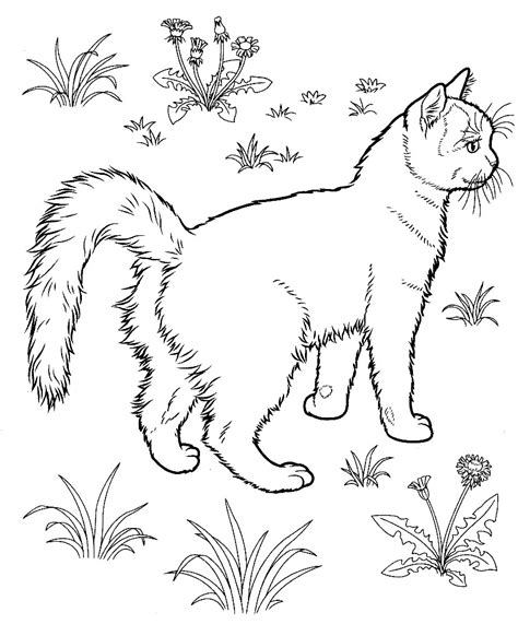 10 best warrior cats coloring [ read: Free Printable Kitten Coloring Pages For Kids - Best ...