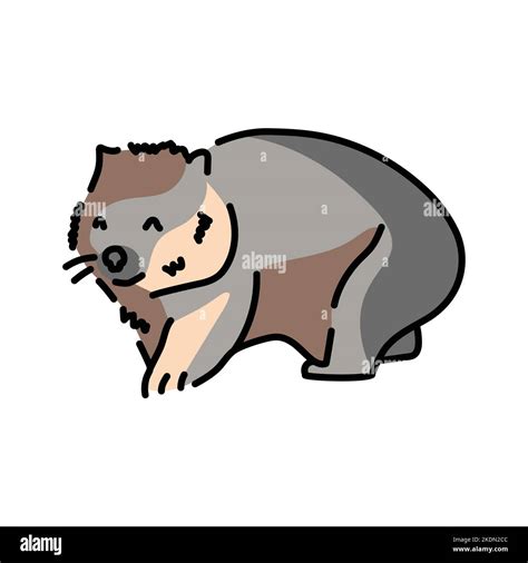 Australian Wombat Color Line Illustration Animals Of Australia Stock
